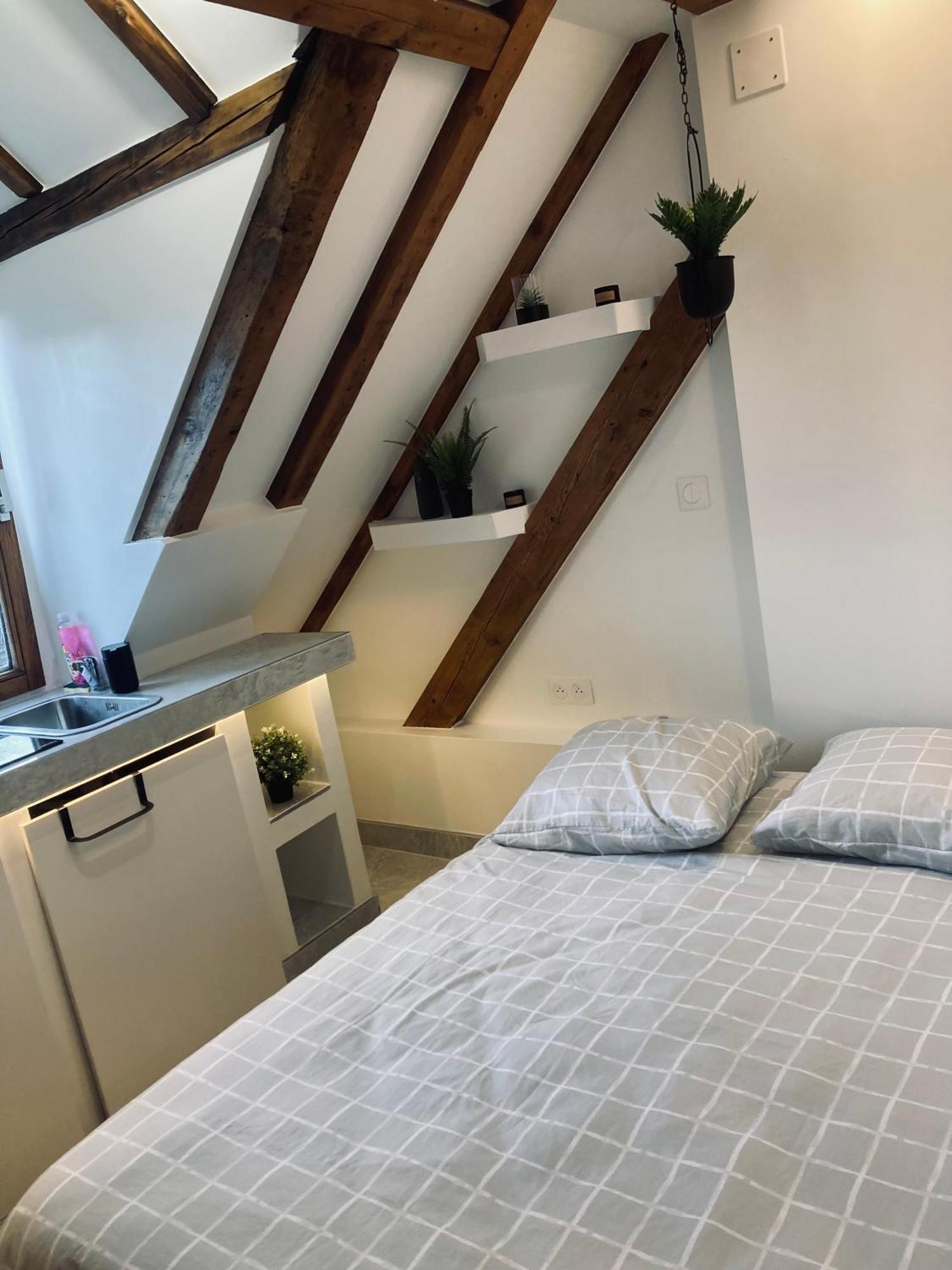 Petit Nid Sympa A Strasbourg Apartment Exterior photo